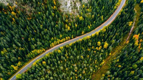 aerial-view-of-curve-road-and-colorful-autumn-forest-in-finland-.jpg