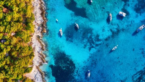 view-on-the-boats-from-drone-blue-water-background-and-coast-with-forest-from-top-view-.jpg