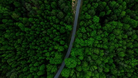 winding-curvy-road-in-forest-aerial-drone-view-aerial-photography.jpg